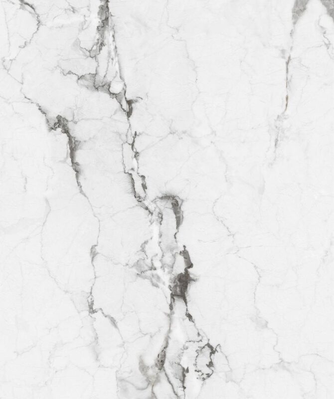 ADICON GREY - Image 5