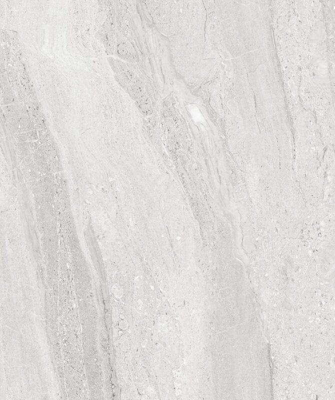 ALAKO GRIS - Image 4