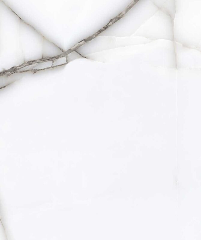 ALBETA GRIS - Image 4