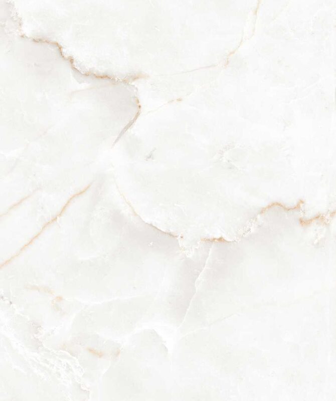 AMBROS GRIS - Image 4