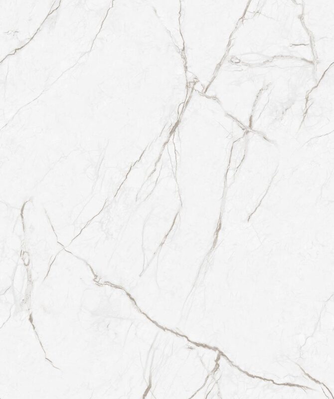 APYSTER SILVER - Image 3