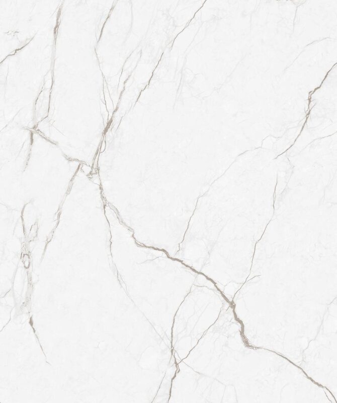APYSTER SILVER - Image 4