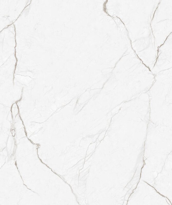 APYSTER SILVER - Image 2