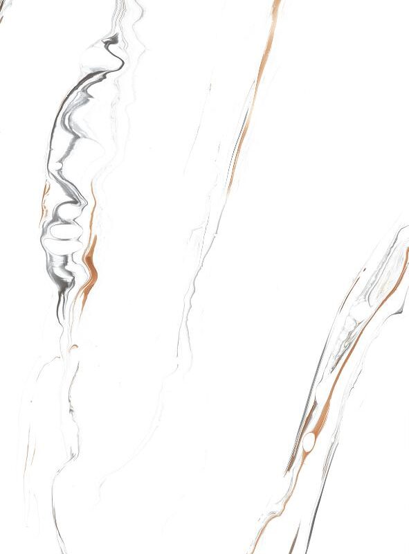 ARC ORANGE - Image 3