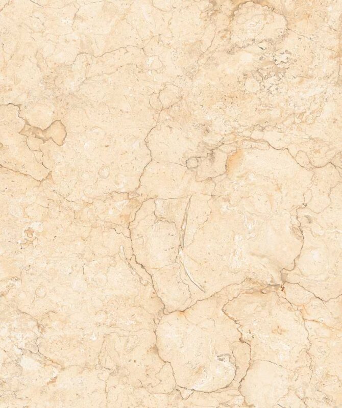 ARCOS IVORY