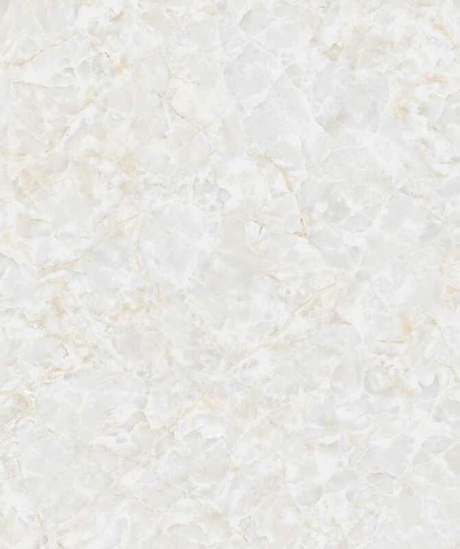 ARCTIC ONYX - Image 4