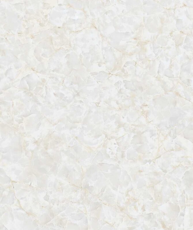ARCTIC ONYX - Image 2