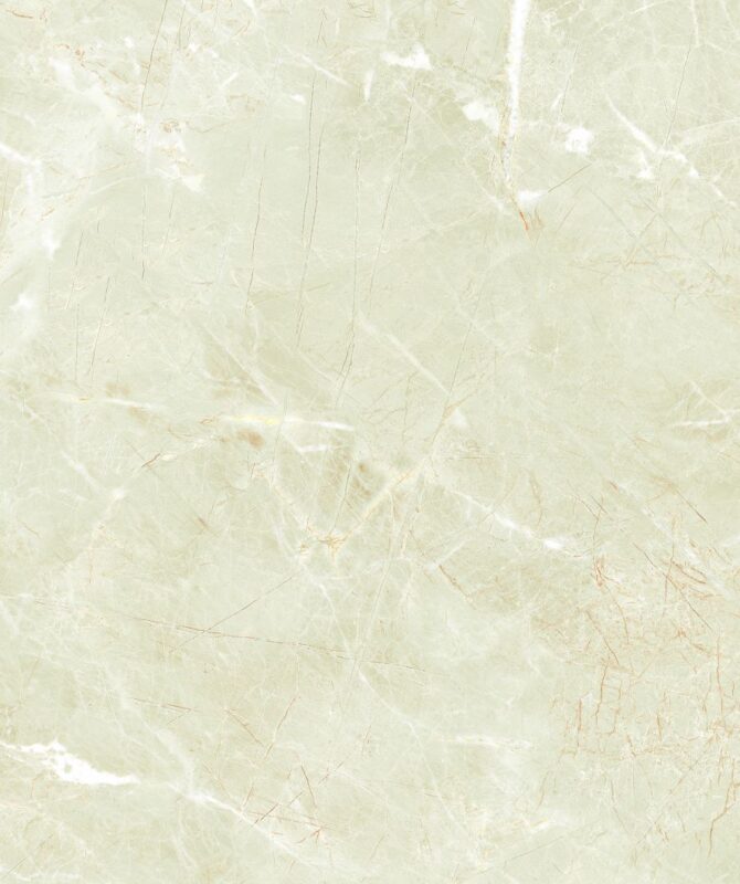 BARISTA PISTA - Image 3